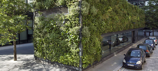 A green wall system